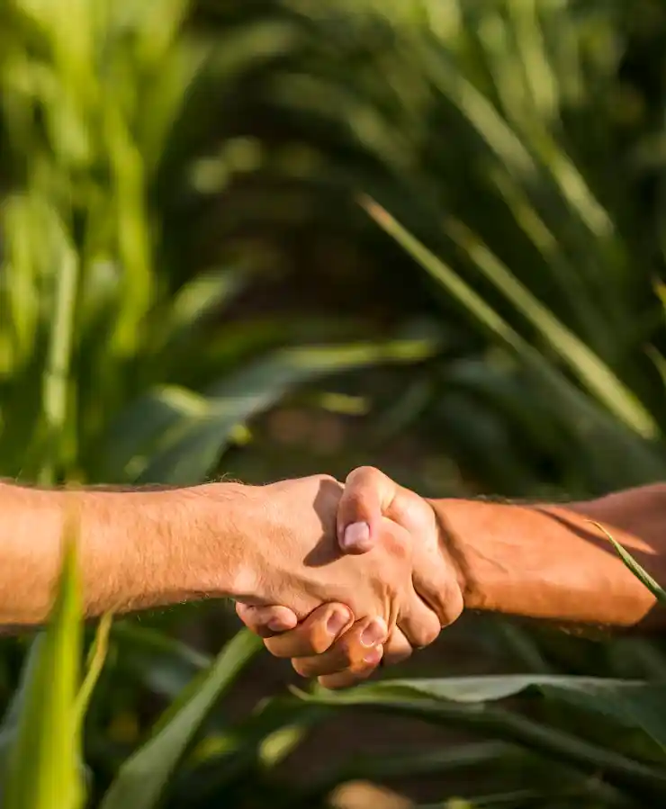 asesoramiento agricola ganadero